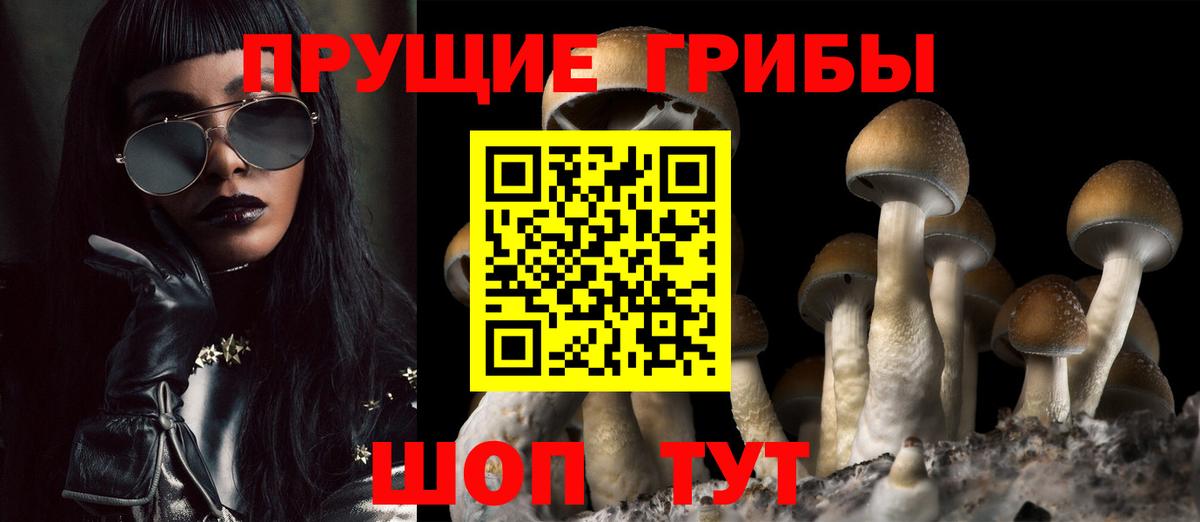 Галлюциногенные грибы прущие грибы  Вход с VPN  хочу наркоту  Михайловск 